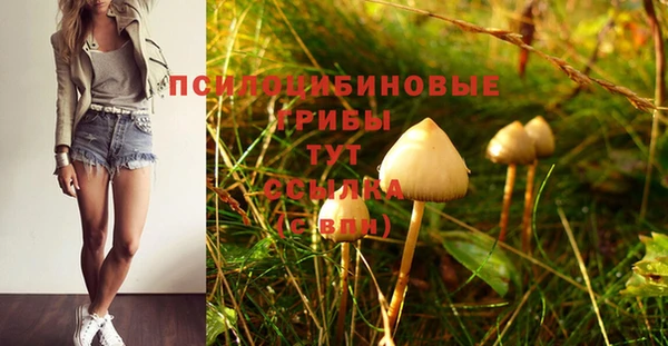каннабис Жердевка