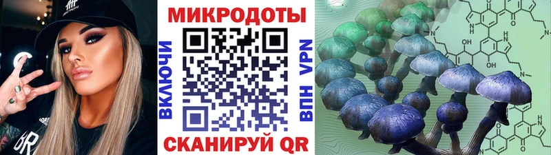 как найти закладки  Кедровый  Псилоцибиновые грибы MAGIC MUSHROOMS 